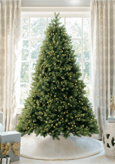 Árvore Realeza com 1200 LEDs Brancos e Coloridos